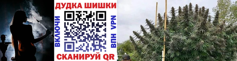 Конопля VHQ  купить наркотики цена  Щёлково 